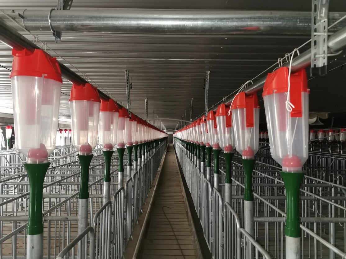 ͼƬ12.jpg ͼƬ12.jpg