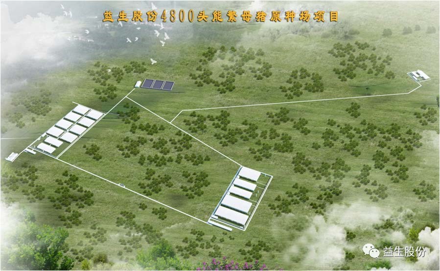 ��ϲѶ���������������ǲ��й��������������޹�˾ԭ������������Ŀ����