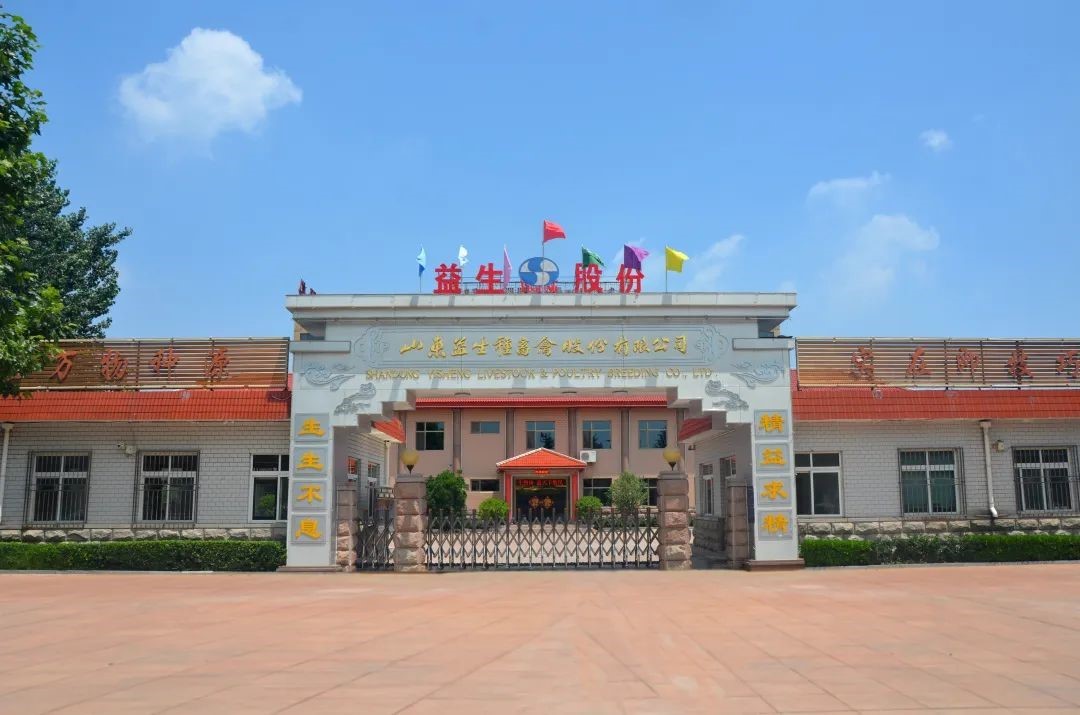 ����ף��������ʮ���������·ܽ�����ǰ����������ף�������ǲ��й����ɷ�����12����