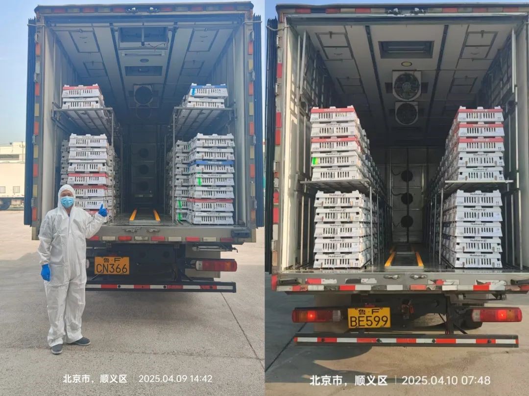 �����֡������ȷ�縺�������ʳ�徲�����Ρ����������ǲ��й����ɷݵ����������˳������