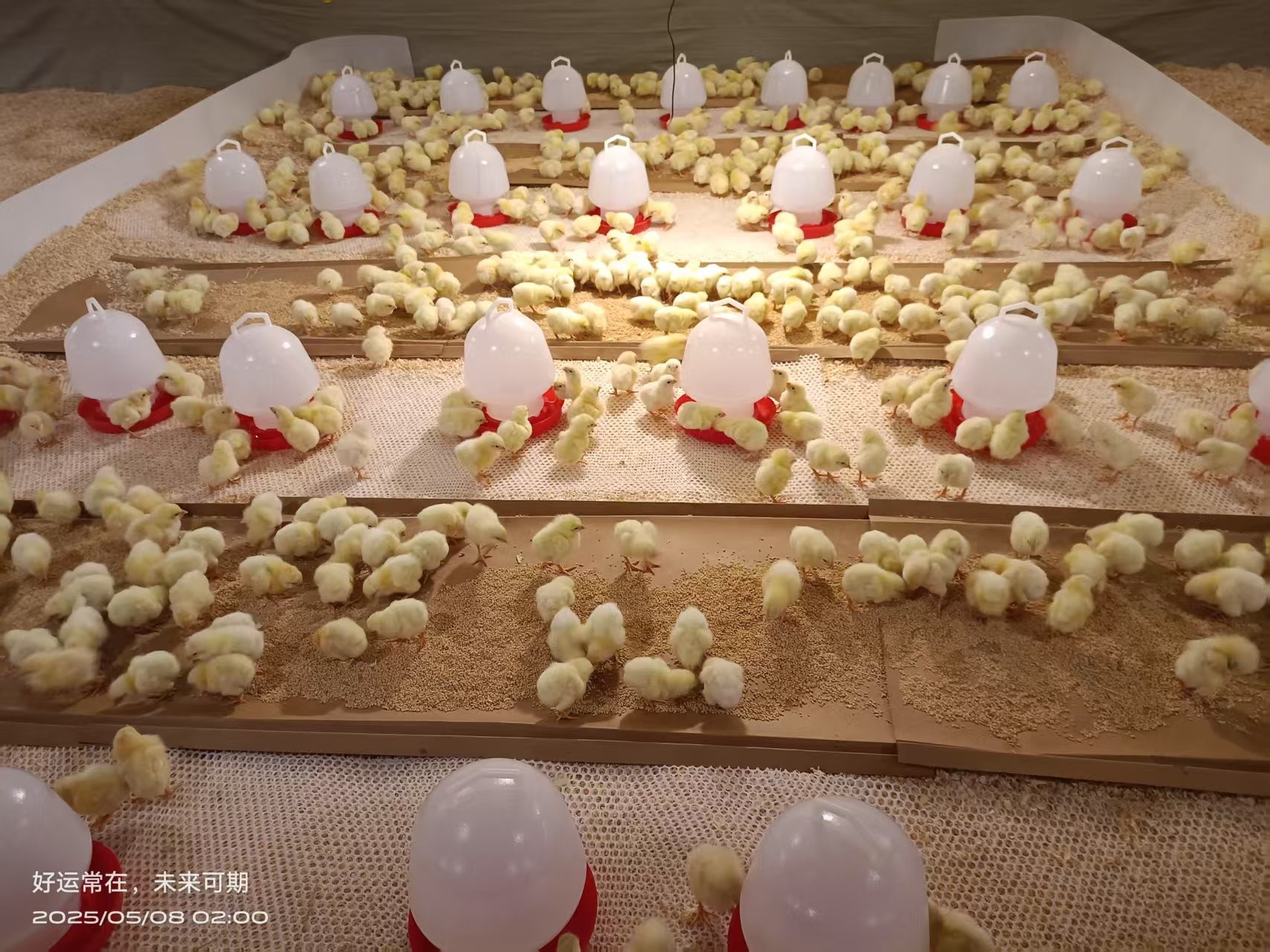 ��ϲѶ���������ǲ��й����ɷݰ����⼦����������� ��Դս�����ι�ҵ����