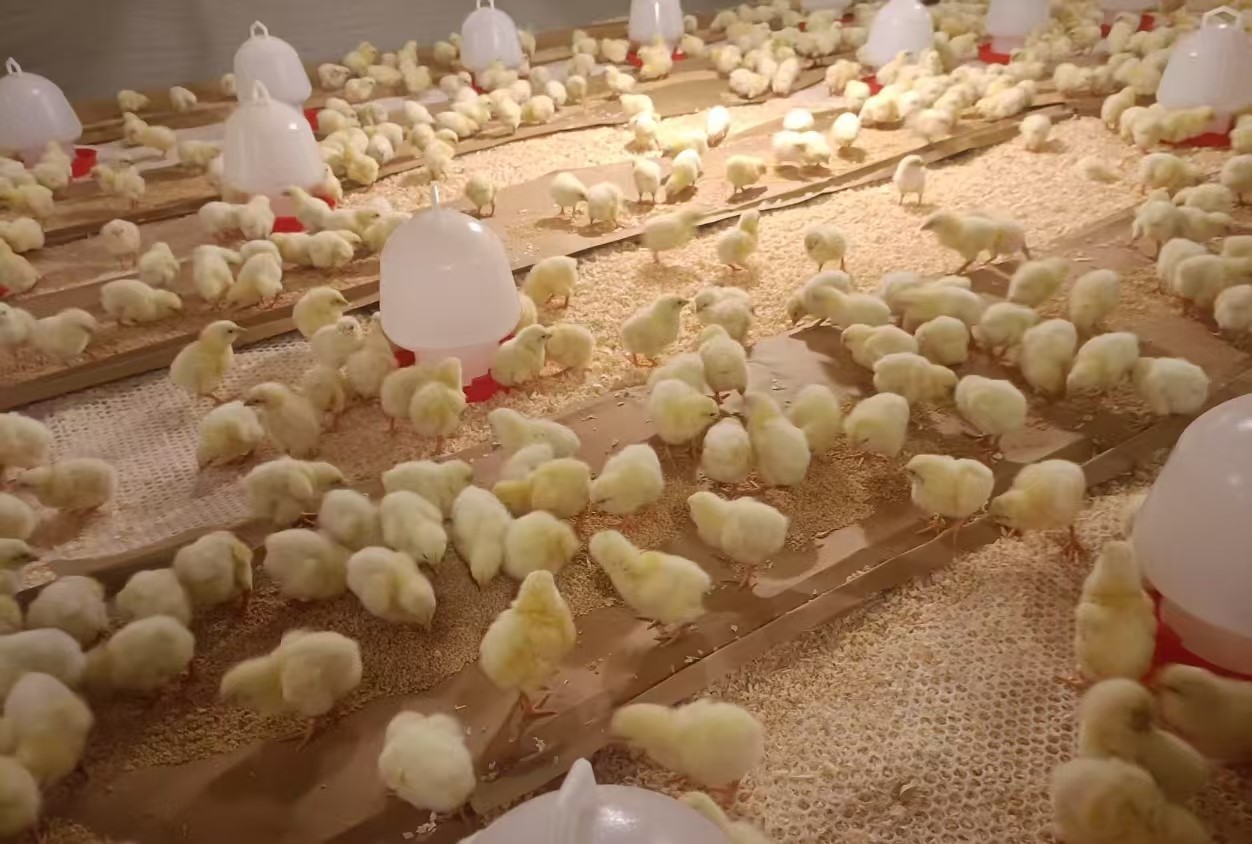 ΢ÐÅͼƬ_20250725094155.jpg ΢ÐÅͼƬ_20250725094155.jpg